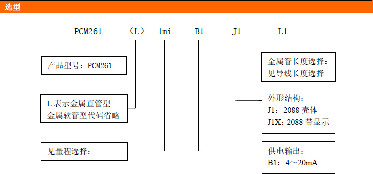 PCM261金屬鎧裝液位變送器